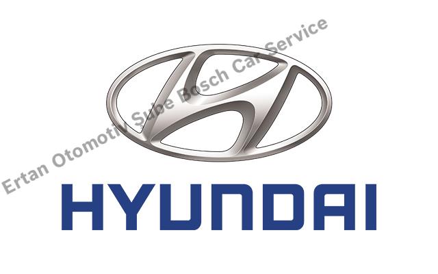 Aydın Hyundai Servisi