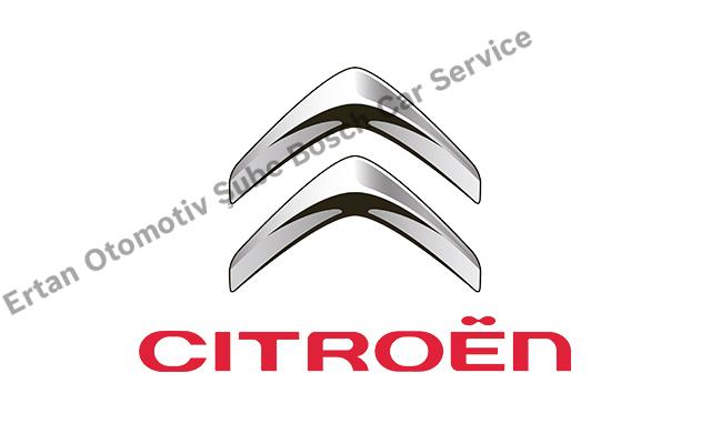 Aydın Citroen Servisi